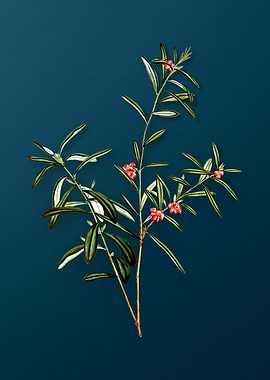 Vintage Flowers on Teal