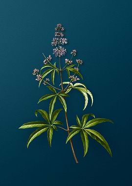 Vintage Botanicals on Teal