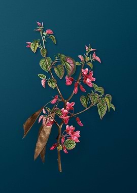 Vintage Flowers on Teal