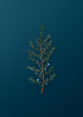 Vintage Flowers on Teal