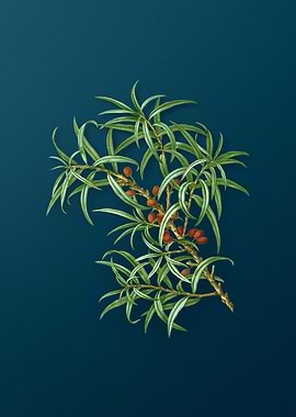 Vintage Flowers on Teal