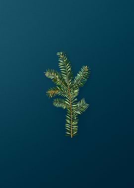 Vintage Botanicals on Teal