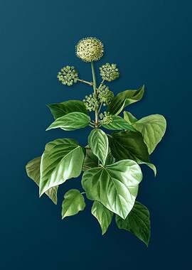 Vintage Flowers on Teal