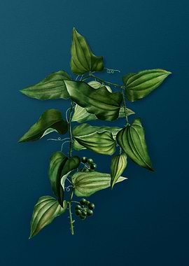 Vintage Flowers on Teal