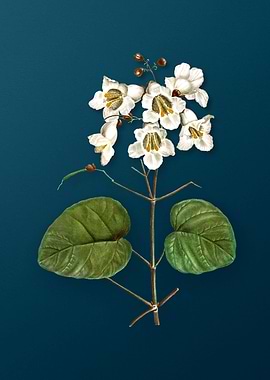 Vintage Botanicals on Teal