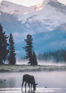 Animal surroundedby nature