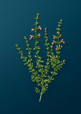 Vintage Botanicals on Teal