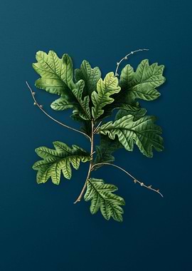 Vintage Botanicals on Teal