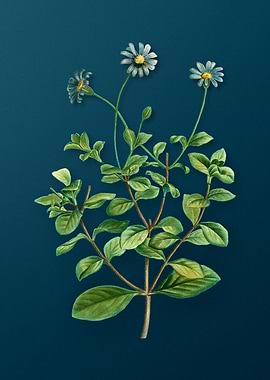 Vintage Flowers on Teal