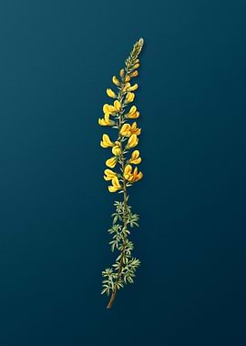 Vintage Botanicals on Teal