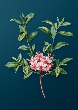 Vintage Flowers on Teal