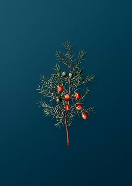 Vintage Flowers on Teal