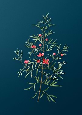 Vintage Flowers on Teal