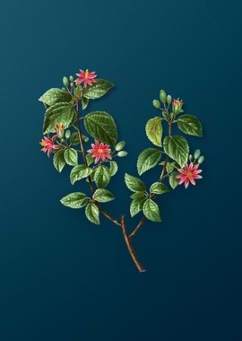 Vintage Florals on Teal