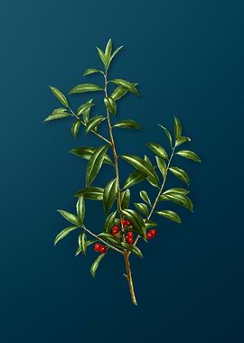 Vintage Flowers on Teal