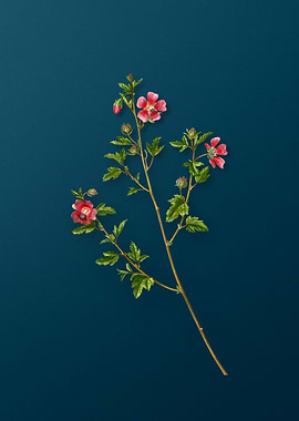 Vintage Florals on Teal