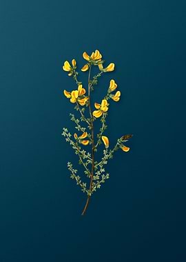 Vintage Flowers on Teal