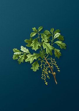 Vintage Botanicals on Teal