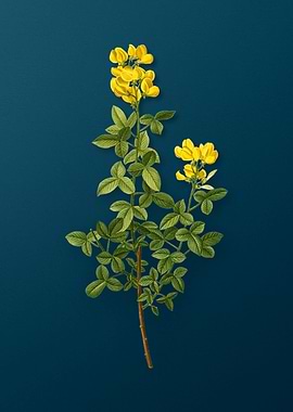 Vintage Botanicals on Teal