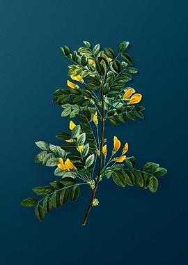 Vintage Flowers on Teal