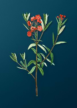 Vintage Flowers on Teal