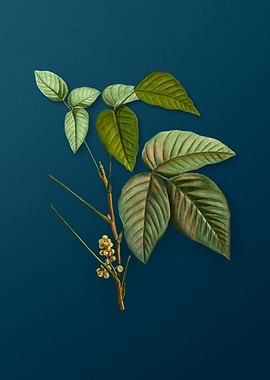 Vintage Florals on Teal