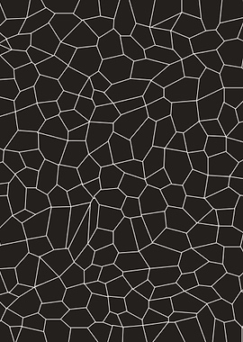 Black and White Mosaic