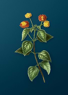 Vintage Botanicals on Teal