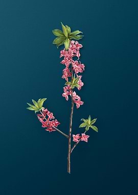 Classic Botanicals on Teal