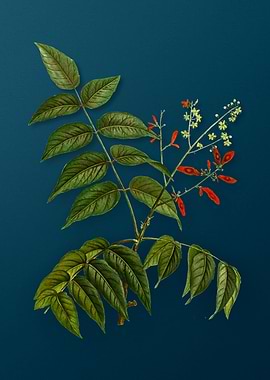 Vintage Botanicals on Teal