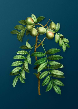 Vintage Flowers on Teal