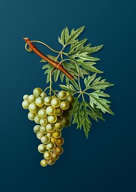 Vintage Flowers on Teal