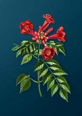 Vintage Florals on Teal