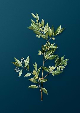 Vintage Florals on Teal