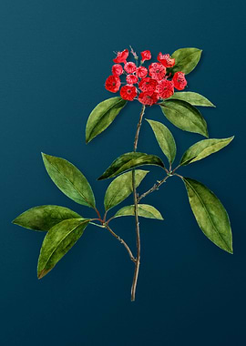 Vintage Botanicals on Teal