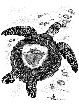 TURTLE