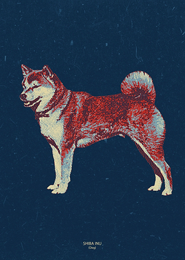 Shiba Inu
