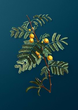 Vintage Flowers on Teal