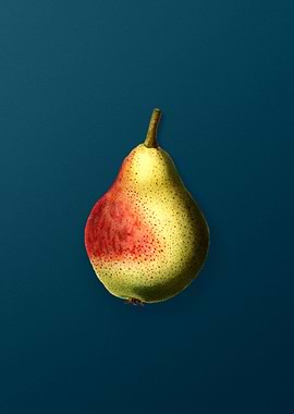 Vintage Flowers on Teal