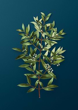 Vintage Flowers on Teal