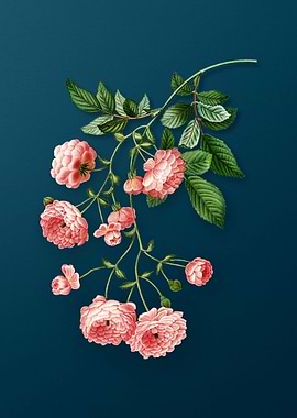 Vintage Flowers on Teal