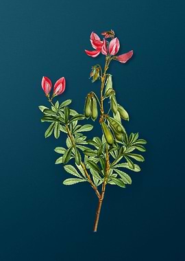 Vintage Botanicals on Teal