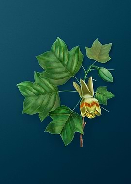 Vintage Florals on Teal