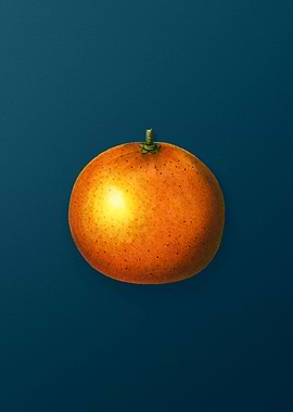 Vintage Flowers on Teal