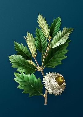 Vintage Florals on Teal