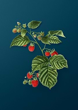 Vintage Botanicals on Teal