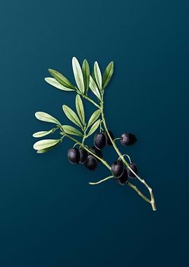 Vintage Flowers on Teal