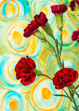 Red carnations