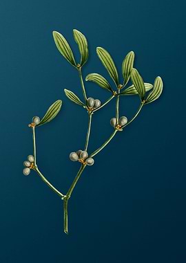 Vintage Florals on Teal