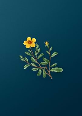 Vintage Botanicals on Teal